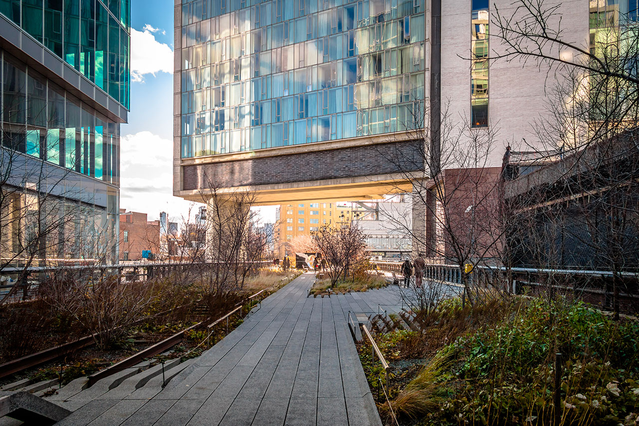 The High Line: a railway transformed into an urban park